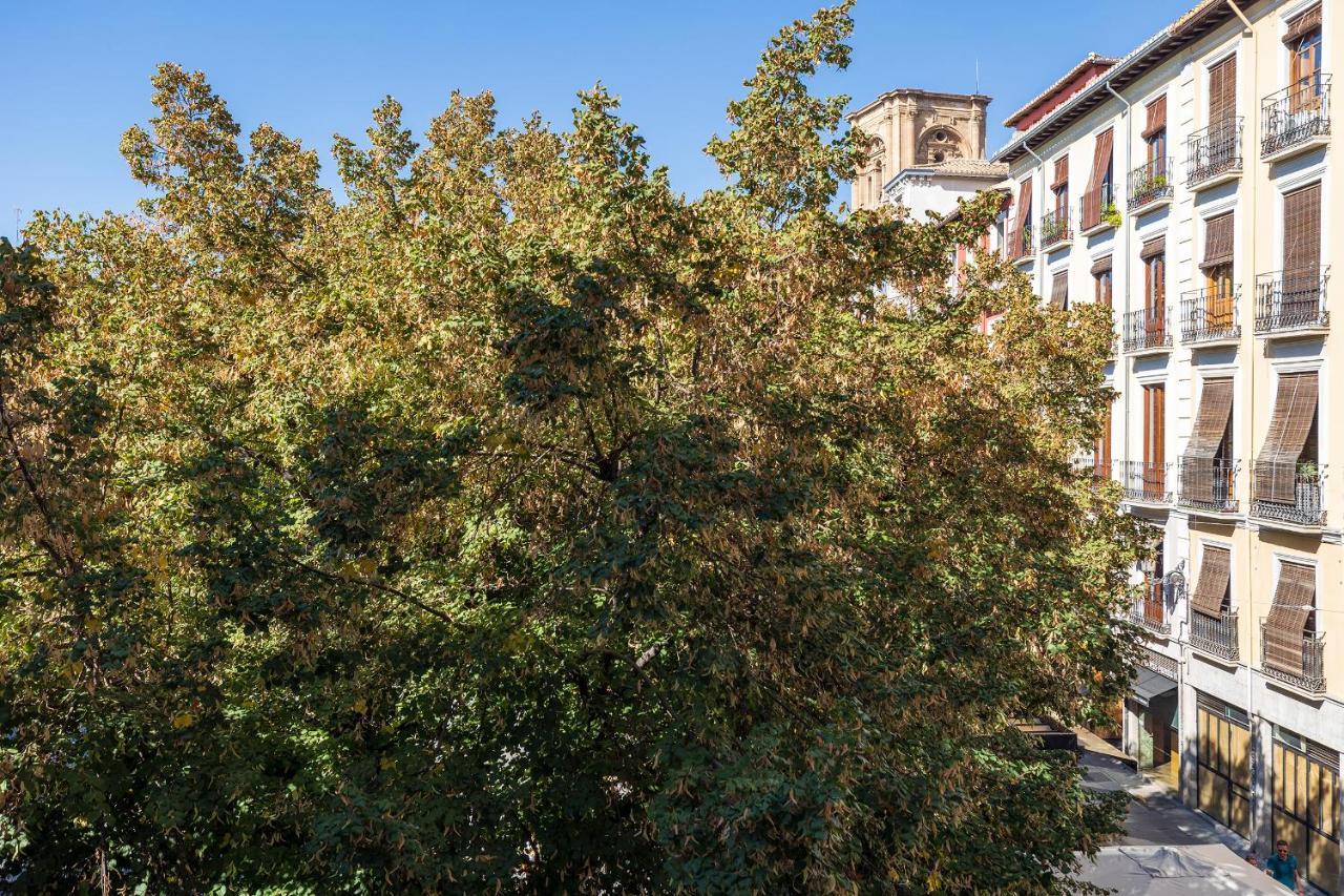 Apartamento Dreaming Bib Rambla - Free Parking Granada Exterior foto